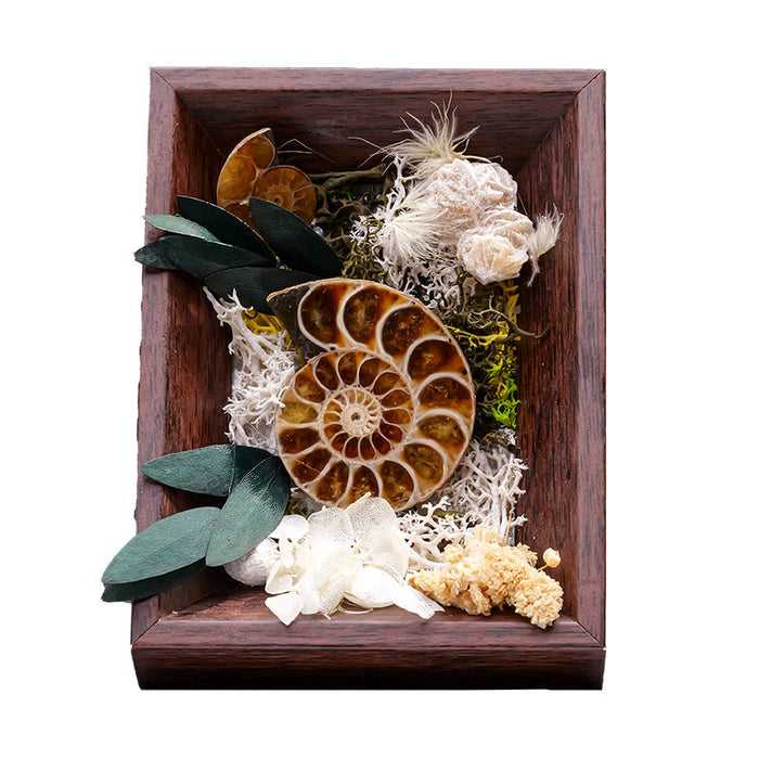 Stone & Flower Mini Frame Decor | 4 Designs with Black Gift Box
