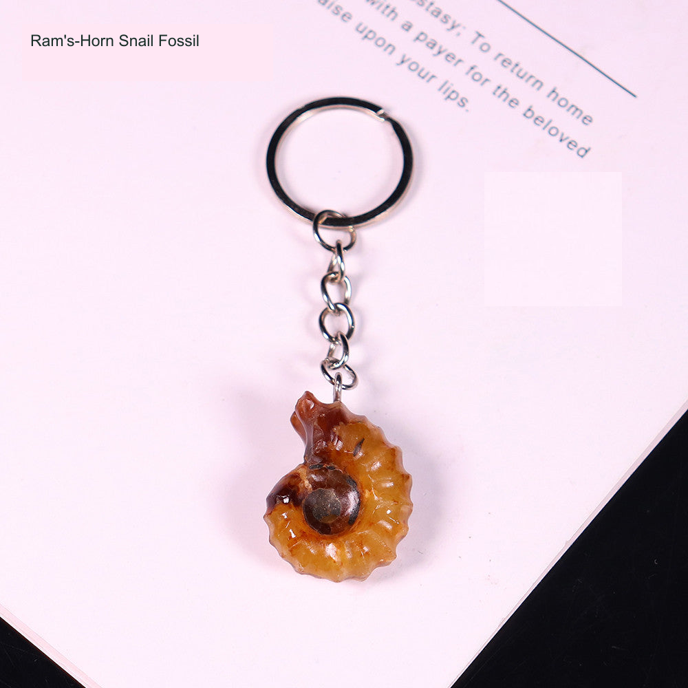 Exact selected product photograph with equivalent English caption