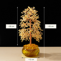 Original bowl or stone-base tree photograph with equivalent English material or size labels; actual color, stones and physical Chinese inscriptions retained