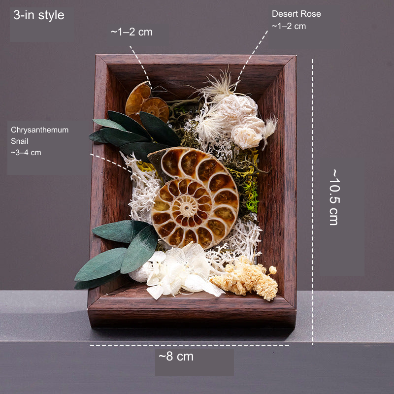 Chrysanthemum Snail flower frame; English source-photo captions