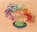 Original phoenix-canopy tree photo; advertising heading removed or printed labels translated, with chips, base, configuration and dimension information unchanged.