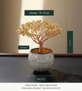 Crystal Tree in a Glazed Teacup — actual SKU photo with English dimensions