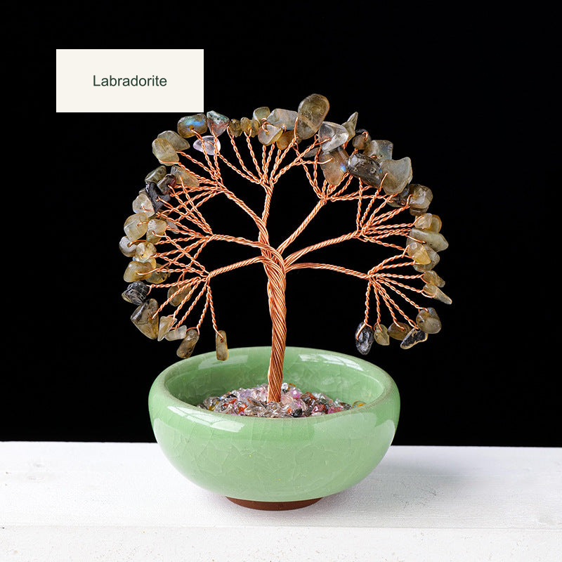Original teacup or mini glass-bowl tree photograph; Chinese captions translated equivalently into English; real stones, fillers, bowl colors and dimensions retained